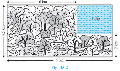 Page 305 Chapter 15 Class 10th Non-Rationalised NCERT 2019-20